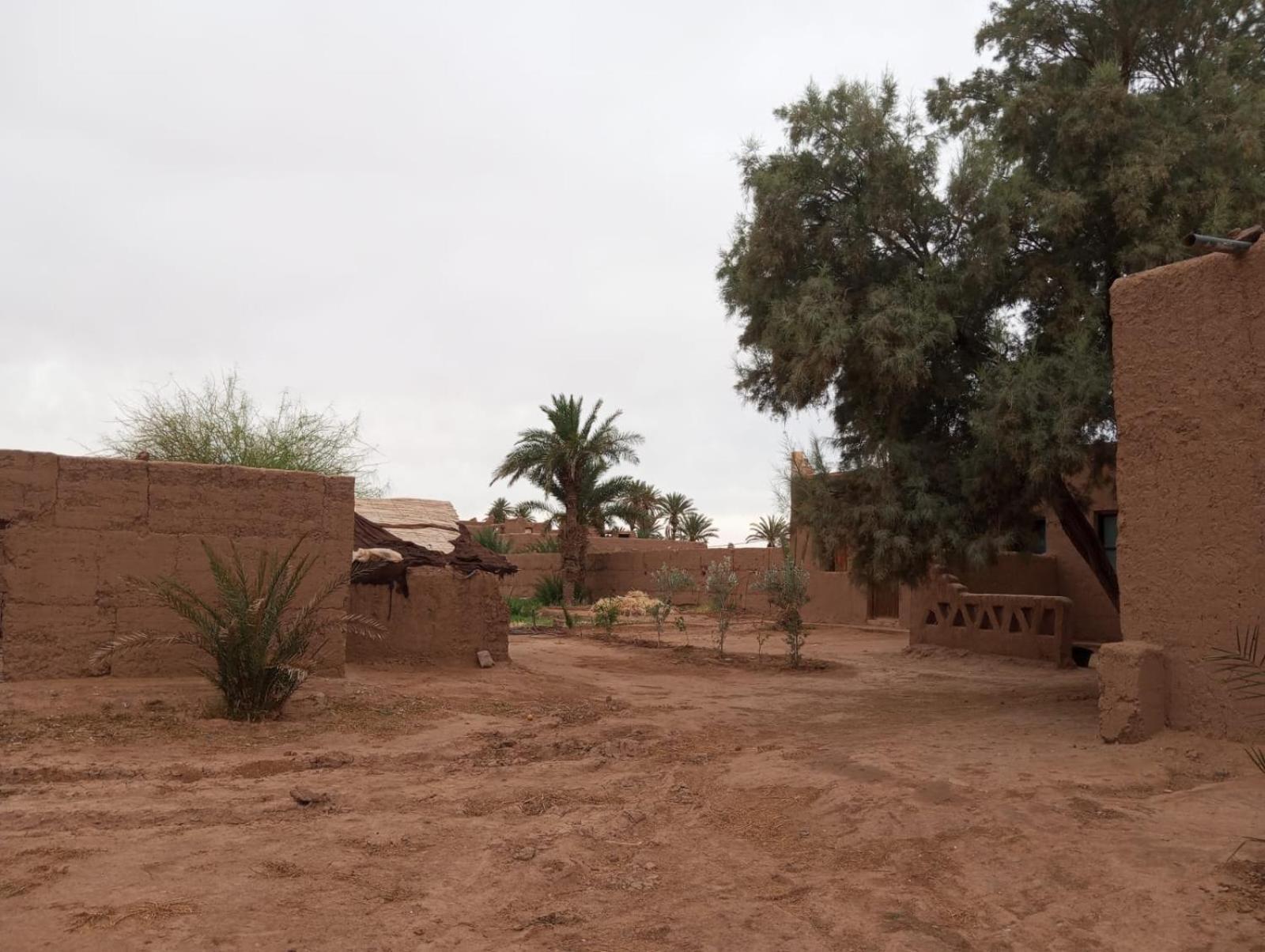 La Maison-Berbere Mhamid M'Hamid El Ghizlane Extérieur photo