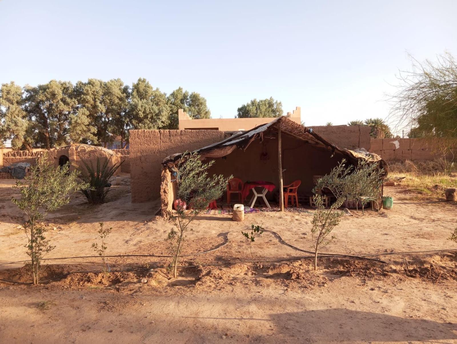 La Maison-Berbere Mhamid M'Hamid El Ghizlane Extérieur photo