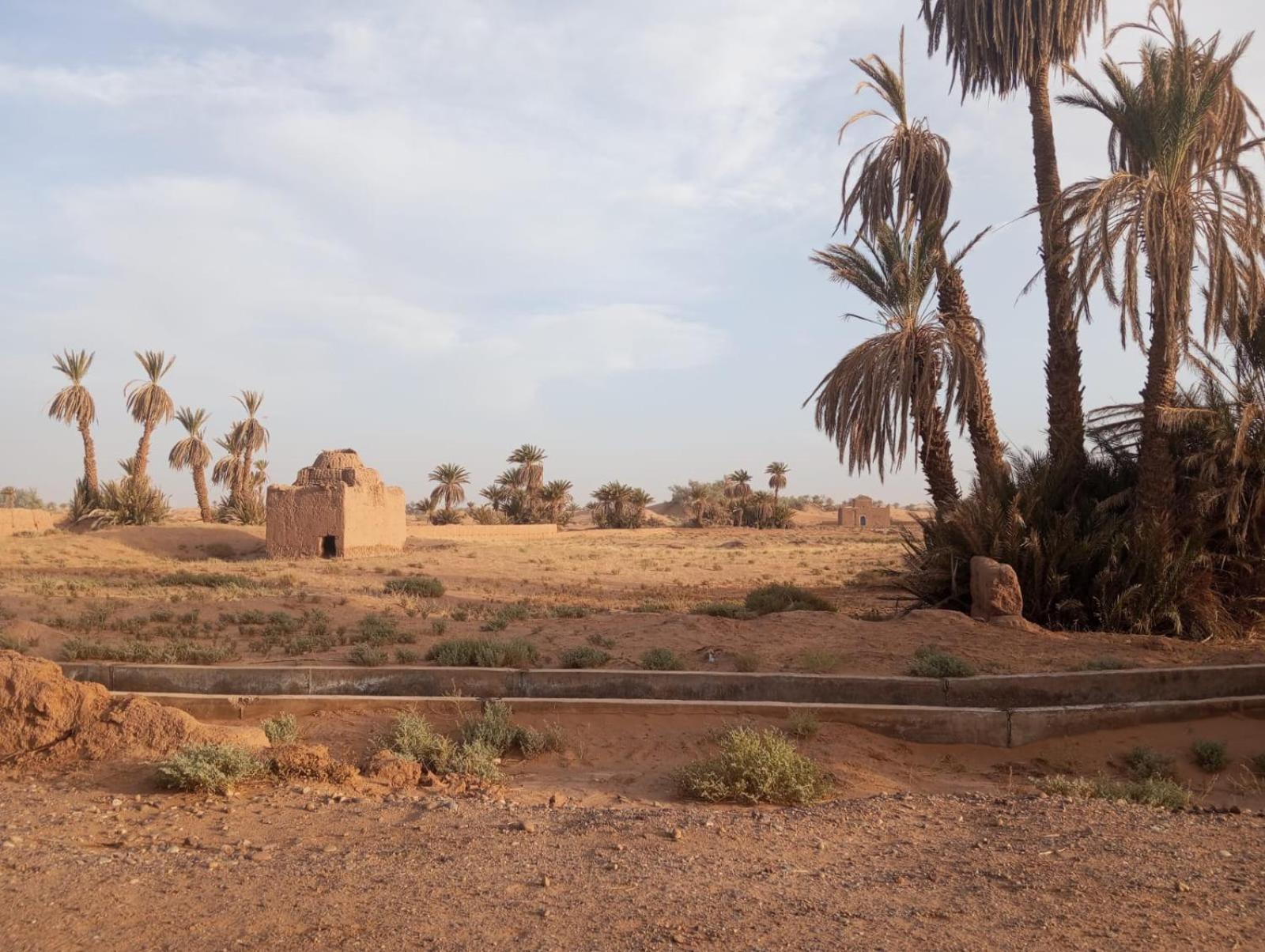 La Maison-Berbere Mhamid M'Hamid El Ghizlane Extérieur photo