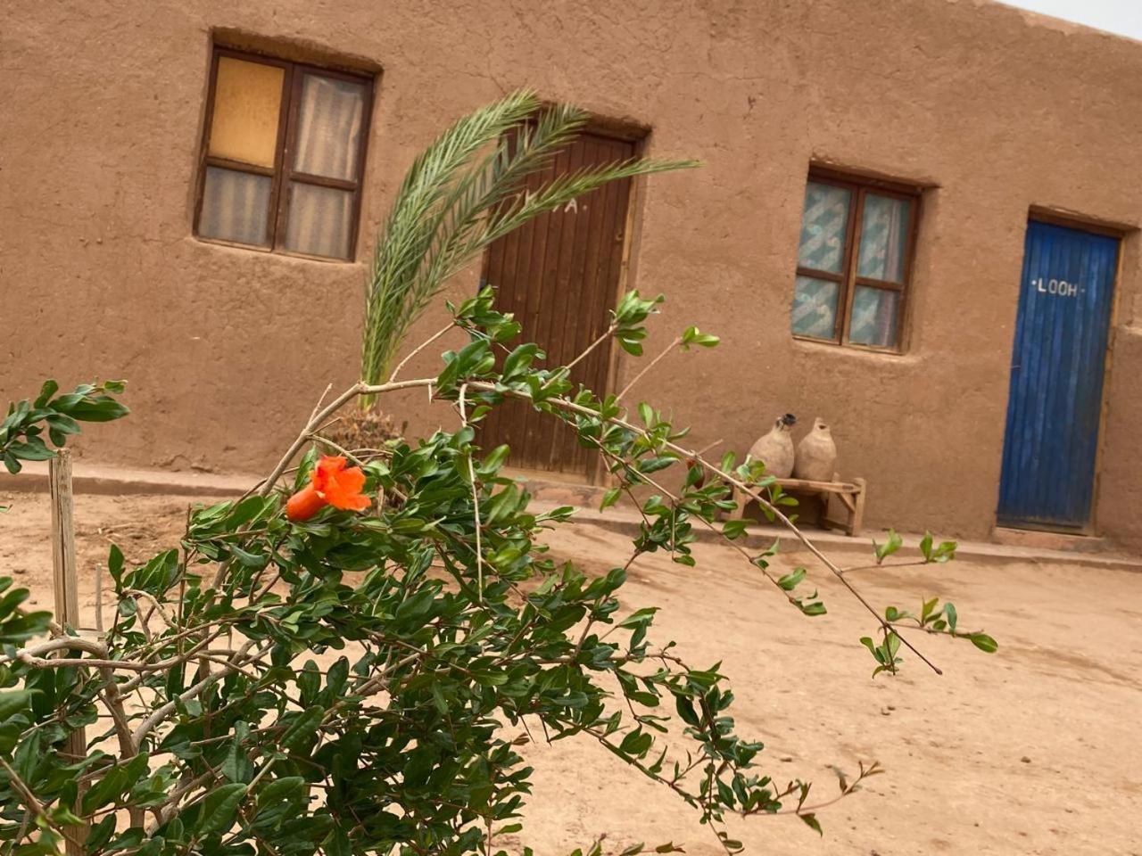 La Maison-Berbere Mhamid M'Hamid El Ghizlane Extérieur photo